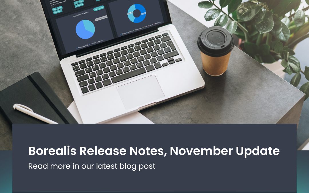 Monthly Borealis Release: November 2023